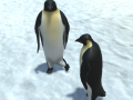 Gra The littlest penguin