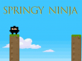 Gra Springy Ninja