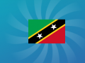 Gra Guess The Flag