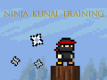 Gra Ninja Kunai Training