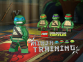 Gra Teenage Mutant Ninja Turtles: Ninja Training