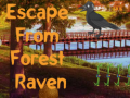 Gra Escape from Forest Raven