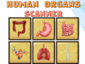 Gra Human Organs Scanner