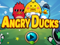 Gra Angry Ducks