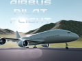 Gra Airbus Pilot Flight
