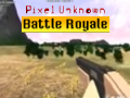 Gra Pixel Unknown Battle Royale