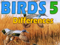 Gra Birds 5 Differences