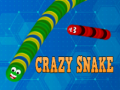 Gra Crazy Snake