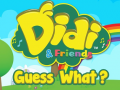 Gra Didi & Friends Guess What?