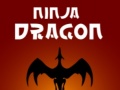 Gra Ninja Dragon