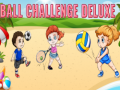 Gra Ball Challenge Deluxe