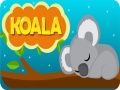 Gra Koala