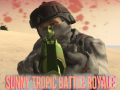 Gra Sunny Tropic Battle Royale