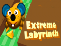 Gra Extreme Labyrinth