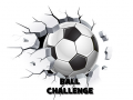 Gra Ball Challenge