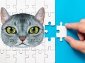 Gra Abyssinian Puzzle Challenge