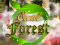 Gra Secret Forest