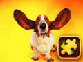 Gra Funny Dogs Puzzle