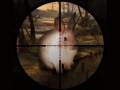Gra Classical Rabbit Sniper Hunting 2019