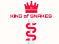 Gra King Of Snakes