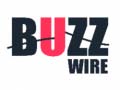 Gra Buzz Wire