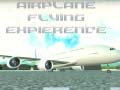Gra Airplane Flying Expierence
