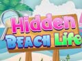 Gra Hidden Beach Life