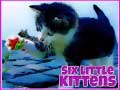 Gra Six Little Kittens