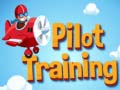 Gra Pilot Training