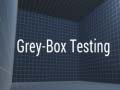Gra Grey-Box Testing