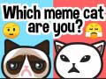 Gra Which Meme Cat Are You?