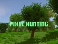 Gra Pixel Hunting