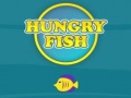 Gra Hungry Fish