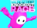 Gra Ultimate Knockout Race