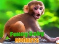 Gra Funny Baby Monkey