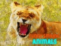 Gra Funny Smiling Animals