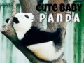 Gra Cute Baby Panda