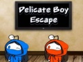 Gra Delicate Boy Escape