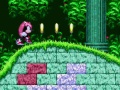 Gra Mighty & Ray In Sonic 2