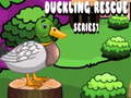 Gra Duckling Rescue Series1