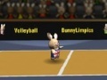 Gra Bunny volleyball