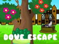 Gra Dove Escape