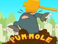 Gra Pum-Mole