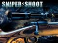 Gra Sniper Shooting