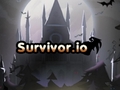 Gra Survivor.io