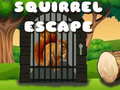 Gra Squirrel Escape