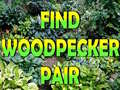 Gra Find Woodpecker Pair 