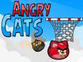 Gra Angry Cats