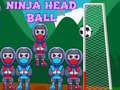 Gra Ninja Head Ball