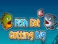 Gra Fish Eat Getting Big